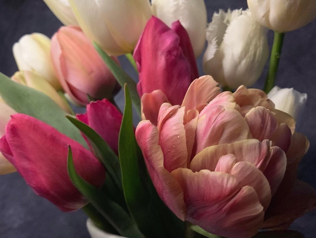 Spring 2025 Flower Subscription - Local Pick Up