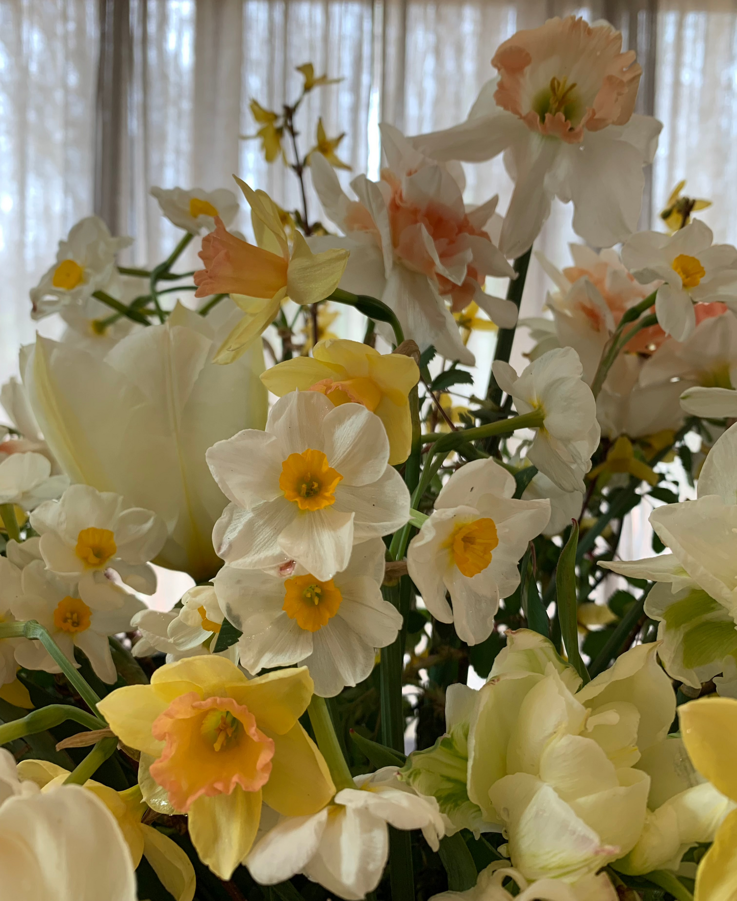 Spring 2025 Flower Subscription - Local Pick Up