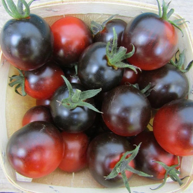 Tomato - Dancing With Smurfs