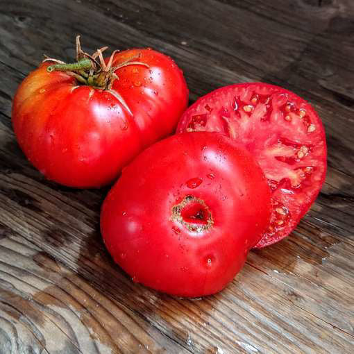 Tomato - Super Beefsteak