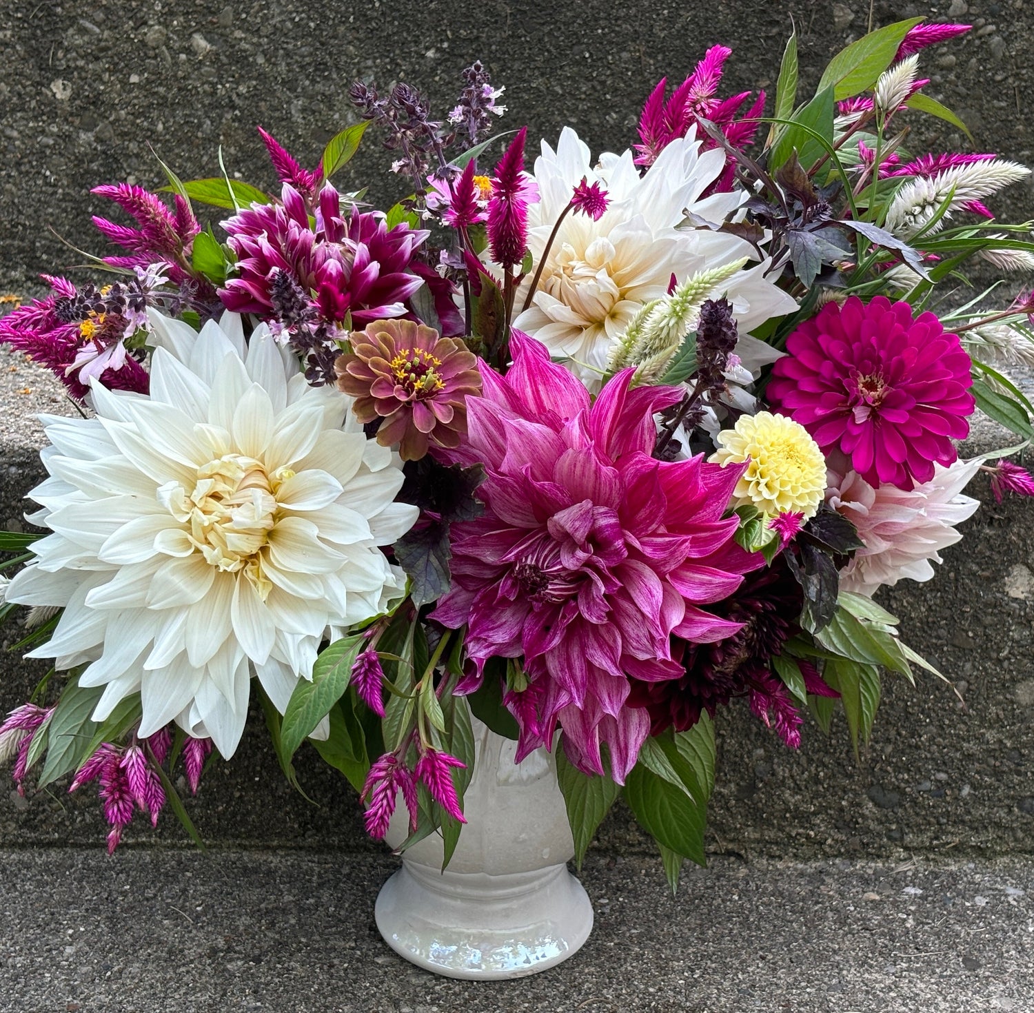 dahlia tubers