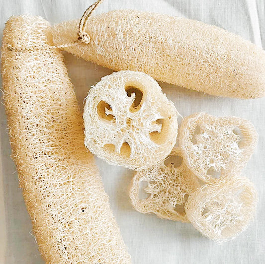 Luffa/Loofah