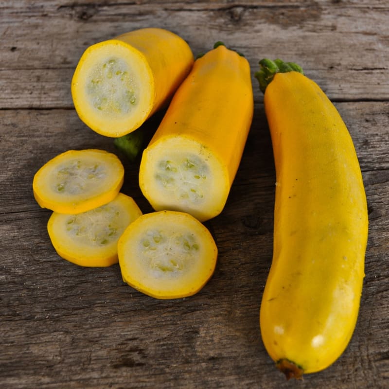 Summer Squash - Burpee's Golden Zucchini