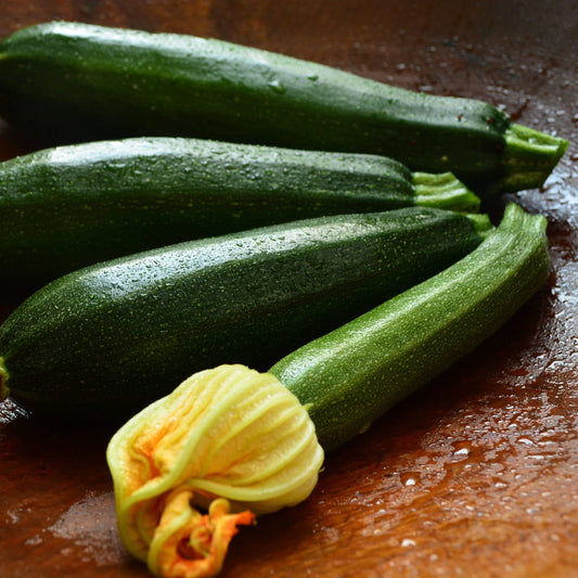 Summer Squash - Black Beauty Zucchini